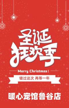 宠物店抢购套组抢购圣诞节活动配图海报