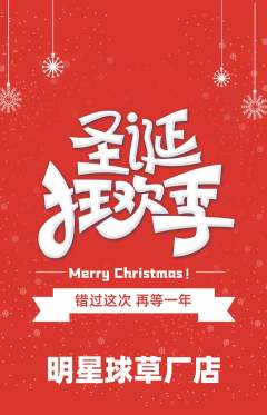 篮球馆抢购单品抢购圣诞节活动配图海报