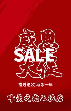 婚纱摄影抢购套组抢购感恩节活动配图海报