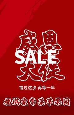 家常菜抢购套组抢购感恩节活动配图海报