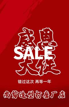 美发抢购多单品抢购感恩节活动配图海报