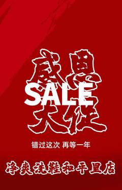 洗衣洗鞋抢购单品抢购感恩节活动配图海报