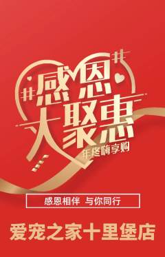 宠物店抢购自选套组抢购感恩节活动配图海报