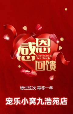 宠物店抢购多单品抢购感恩节活动配图海报