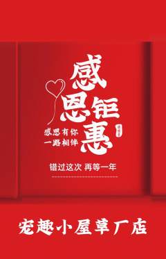 宠物店抢购单品抢购感恩节活动配图海报