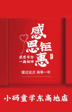少儿编程抢购单品抢购感恩节活动配图海报