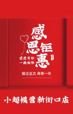 少儿模特抢购自选套组抢购感恩节活动配图海报