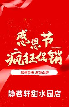 茶馆抢购自选套组抢购感恩节活动配图海报