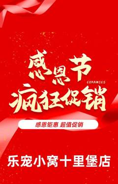 宠物店抢购套组抢购感恩节活动配图海报
