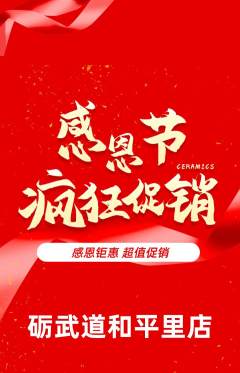 跆拳道抢购自选套组抢购感恩节活动配图海报