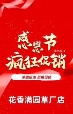鲜花店抢购自选套组抢购感恩节活动配图海报