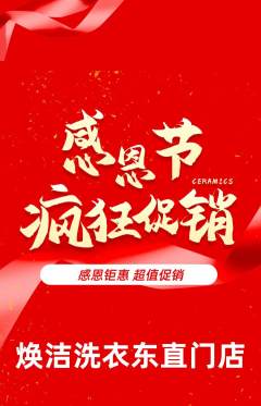 洗衣洗鞋抢购套组抢购感恩节活动配图海报