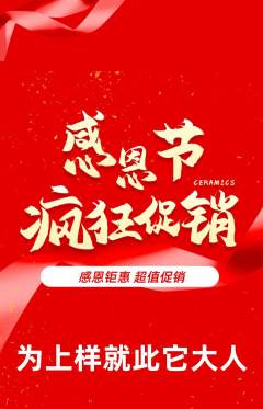 羽毛球馆抢购套组抢购感恩节活动配图海报