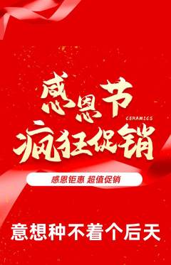 羽毛球馆抢购自选套组抢购感恩节活动配图海报