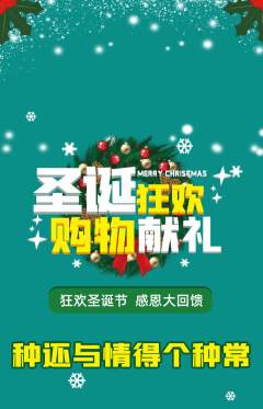 羽毛球馆抢购套组抢购圣诞节活动配图海报