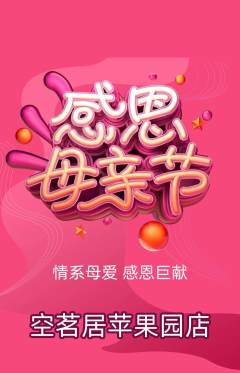 茶馆抢购套组抢购母亲节活动配图海报