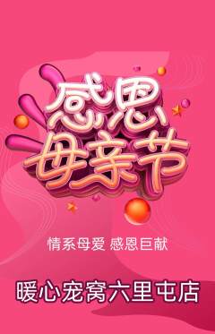 宠物店抢购套组抢购母亲节活动配图海报