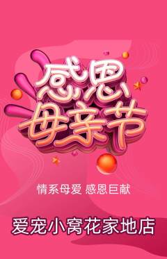 宠物店抢购自选套组抢购母亲节活动配图海报