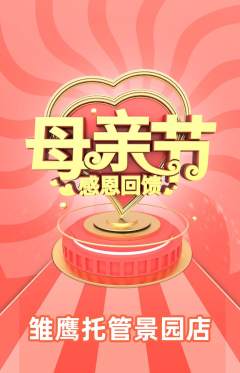 晚托班抢购多单品抢购母亲节活动配图海报