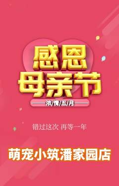 宠物店抢购单品抢购母亲节活动配图海报