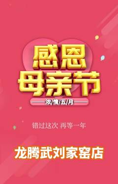 跆拳道抢购多单品抢购母亲节活动配图海报