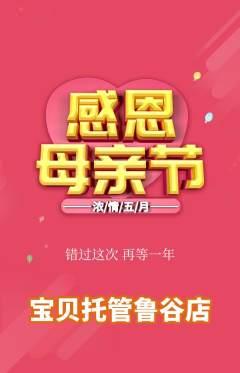 晚托班抢购套组抢购母亲节活动配图海报
