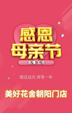 鲜花店抢购单品抢购母亲节活动配图海报