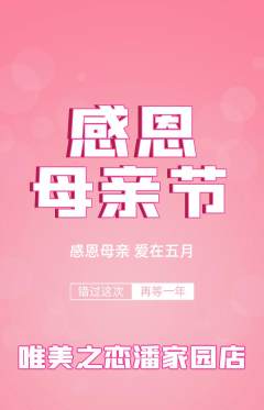 婚纱摄影抢购多单品抢购母亲节活动配图海报