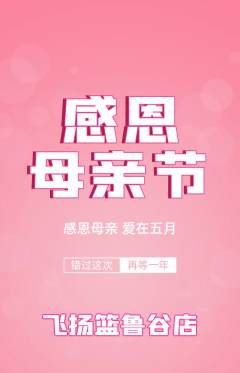 篮球馆抢购多单品抢购母亲节活动配图海报
