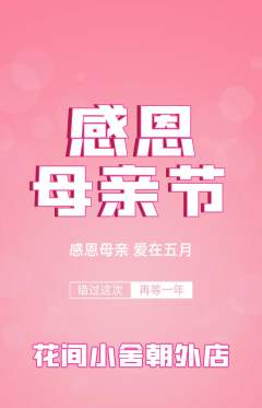 鲜花店抢购单品抢购母亲节活动配图海报