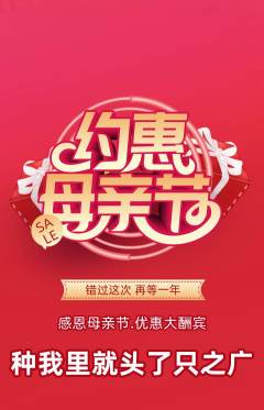 羽毛球馆抢购套组抢购母亲节活动配图海报