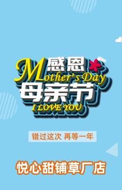蛋糕甜点抢购套组抢购母亲节活动配图海报