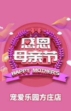 宠物店抢购单品抢购母亲节活动配图海报