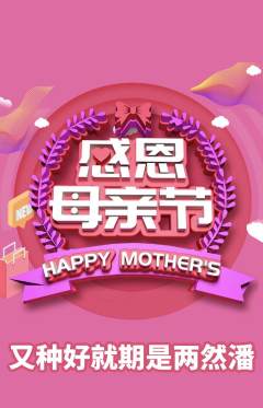 羽毛球馆抢购满血版母亲节活动配图海报