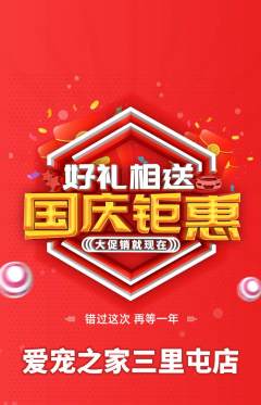 宠物店抢购套组抢购国庆节活动配图海报