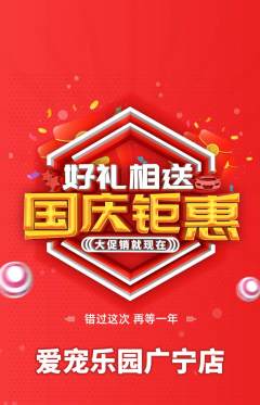 宠物店抢购自选套组抢购国庆节活动配图海报