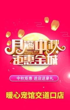 宠物店抢购单品抢购中秋节活动配图海报