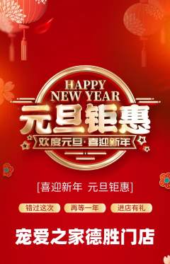 宠物店抢购套组抢购元旦活动配图海报