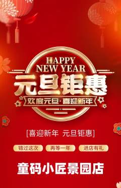 少儿编程抢购满血版元旦活动配图海报