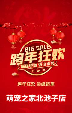 宠物店抢购套组抢购元旦活动配图海报
