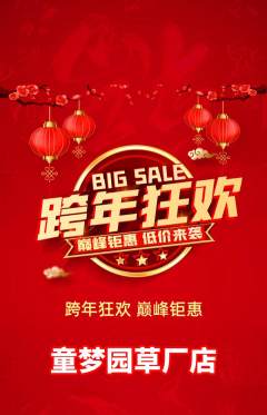 儿童乐园抢购多单品抢购元旦活动配图海报