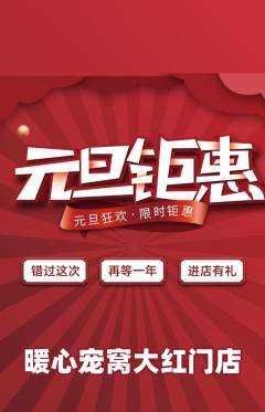 宠物店抢购多单品抢购元旦活动配图海报