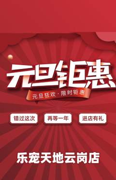 宠物店抢购自选套组抢购元旦活动配图海报