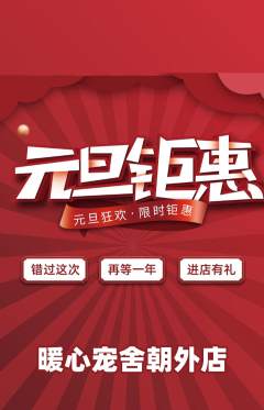 宠物店抢购单品抢购元旦活动配图海报