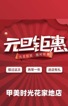 美甲抢购自选套组抢购元旦活动配图海报