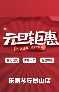 少儿乐器抢购单品抢购元旦活动配图海报