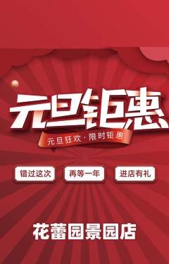 幼儿园抢购单品抢购元旦活动配图海报