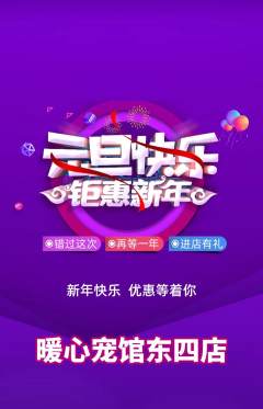 宠物店抢购多单品抢购元旦活动配图海报