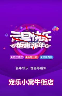 宠物店抢购套组抢购元旦活动配图海报