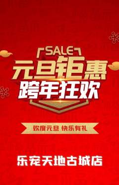 宠物店抢购套组抢购元旦活动配图海报